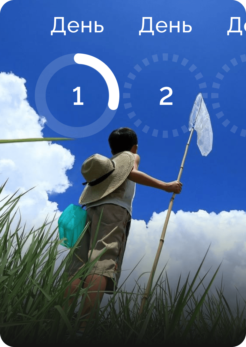 Персональный план в приложении Dzeny